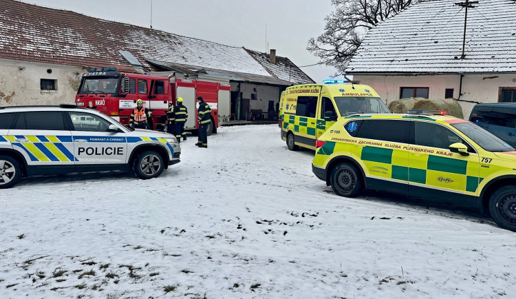 Býk poranil tři lidi včetně malého chlapce. Nešťastná událost, míní policie