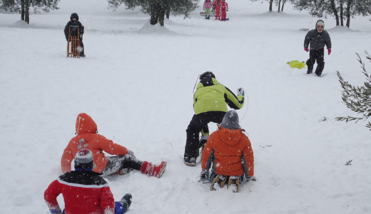 ilustrační fotografie