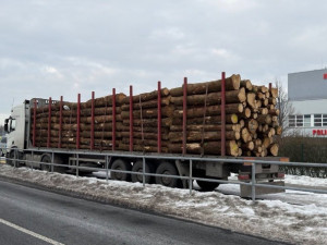 Řidič si na auto přidělal registrační značku z kartonu, dostal pokutu