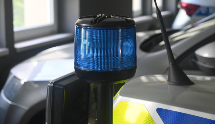 Mám v oblečení krysy, říkal policii muž v Třebíči, když běhal nahý po ulici