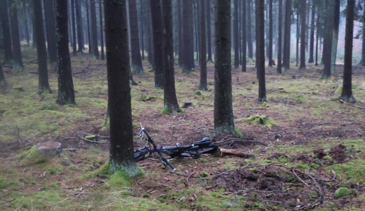 Projížďka na kole skončila tragicky, starší muž u Slavče zemřel po nárazu do stromu