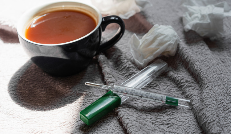 Kvůli chřipce zemřelo v Olomouckém kraji už pět lidí, epidemie respiračních infekcí pokračuje