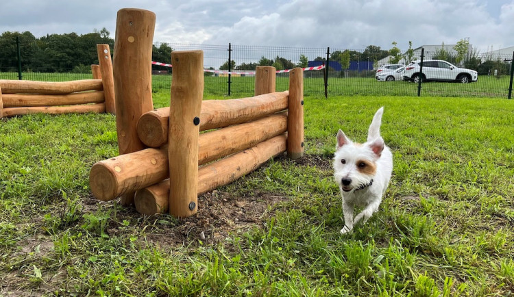 Jak vylepšit Čtyřku? Lidé se mohou zapojit do participativního rozpočtu