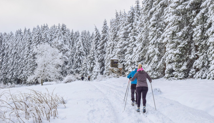 Skiareály v Krušných horách i při oblevě fungují, běžkařům ale sníh odtál