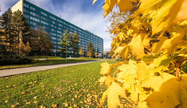 Technická univerzita Ostrava otevírá obor Zelené materiálové technologie
