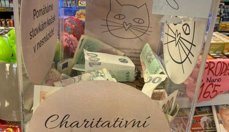 V Ostravě hledají zloděje, který okradl opuštěné kočky. Sebral asi padesát tisíc