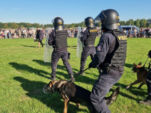 Vyčmuchají drogy i zloděje. Policejní psi se svými psovody měli loni přes 1700 zásahů