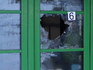 Vyčmuchají drogy i zloděje. Policejní psi se svými psovody měli loni přes 1700 zásahů