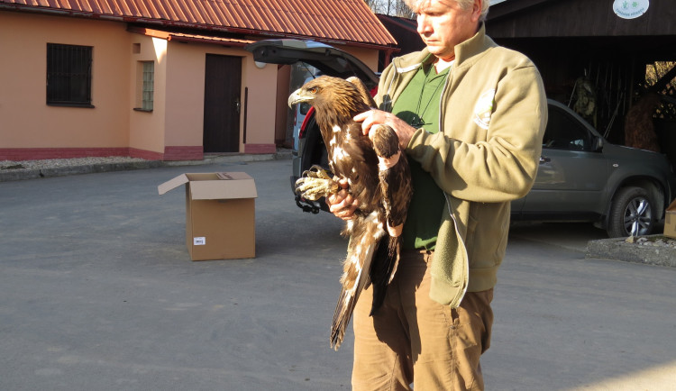 651147005_1352052776967436_4975022995638766454_n