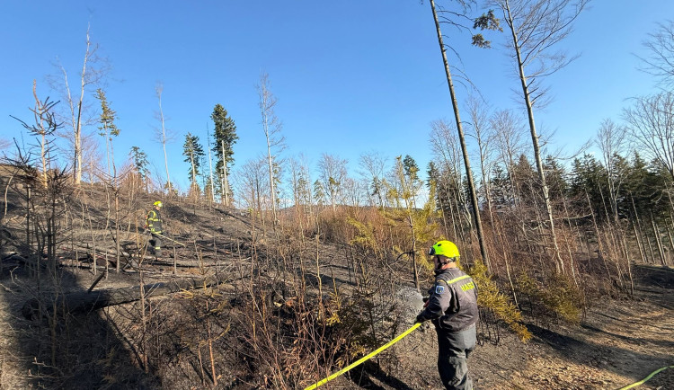 Na Frýdecko-místecku hoří les. Hasiči kvůli urputným plamenům vyhlásili poplach