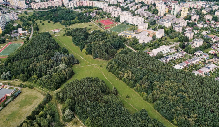 Hradečané se spojí pro dobrou věc, zbaví lesopark na Moravském Předměstí odpadků