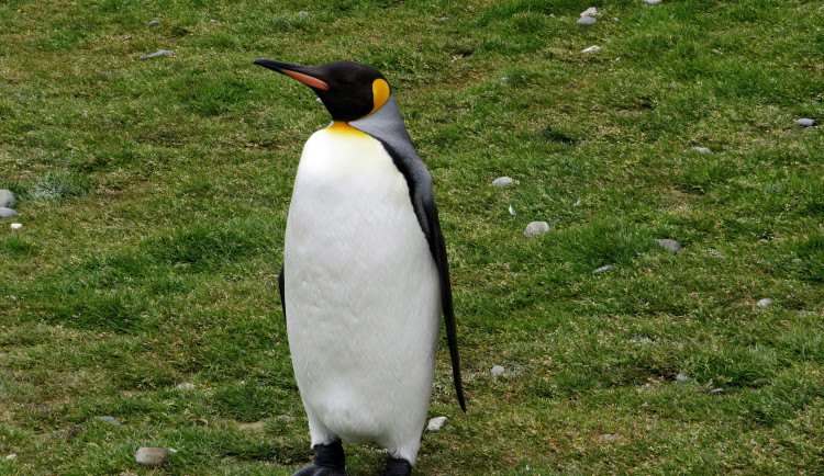 Ilustrační fotografie