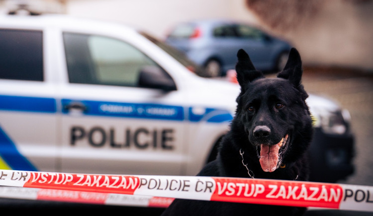 V katastru Višňové byly nalezeny kosterní pozůstatky člověka. Policie nařídila soudní pitvu