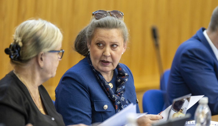 ANO v Olomouci povede do podzimních voleb primátorka Ferancová