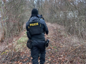 Cizinečtí policisté kontrolovali tržnici v Ostravě. Tři lidé musí opustit Česko