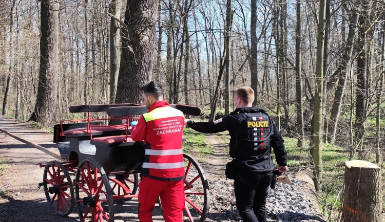 Splašený kůň poslal povoz do příkopu, kočí skončil v nemocnici s otřesem mozku