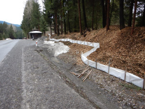 Žáby na jaře migrují ve velkém. Aby nehynuly pod koly aut, staví dobrovolníci zábrany