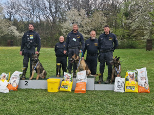 Přebor v Dobroticích: Psovodi z Moravskoslezského kraje jsou mezi nejlepšími