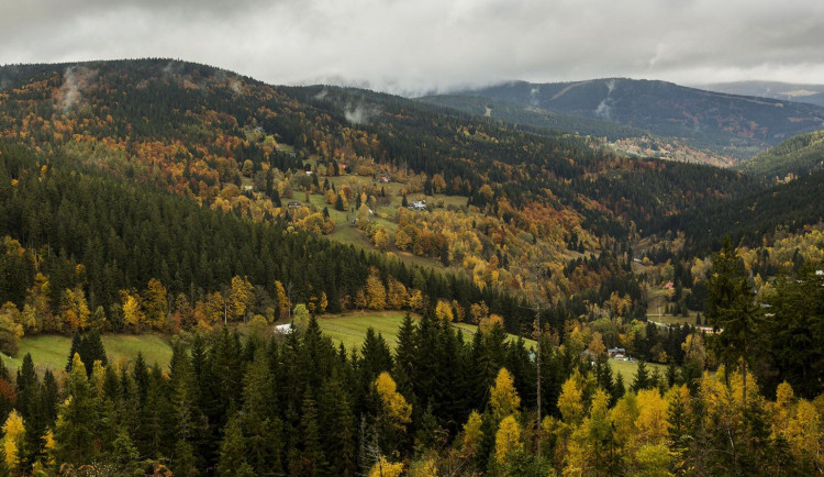 Krkonošské lesy jsou v kondici. KRNAP jako jediný park obhájil prestižní certifikát