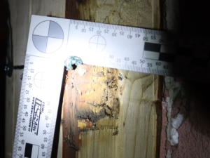 Drama v Dolní Lutyni. Policie zadržela dvojici zlodějů přímo při činu