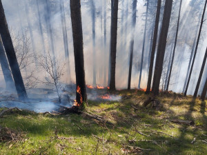 Rozsáhlý požár lesa u Morávky hasiči likvidovali celou noc. Ze vzduchu pomáhal i vrtulník