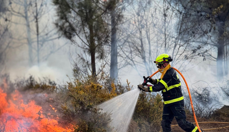 Moravskoslezští hasiči pomůžou s lesními požáry v zahraničí, obstáli v Portugalsku