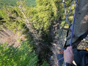Dva paraglidisté zakončili lety v korunách vysokých stromů, kde zůstali viset