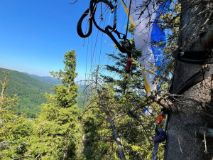 Dva paraglidisté zakončili lety v korunách vysokých stromů, kde zůstali viset