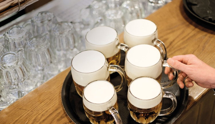 Češi milují pivo, ale tři čtvrtiny z nich nevědí, z čeho se vaří slavný český ležák