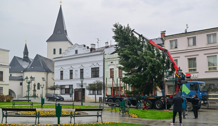Milan Haluska