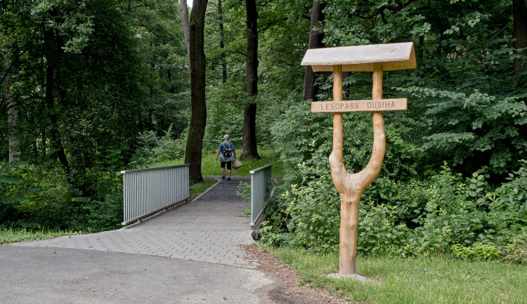 MAREK_BEHAN