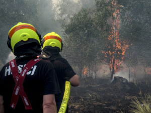 Lesní požár u Větřkovic způsobil škodu 8 milionů korun