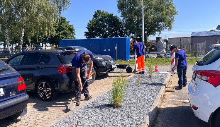 Léto na brigádě. Novojičínskům vodohospodářům pomáhají děti z dětského domova