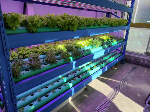 V Porubě už rok stojí budova, ve které vědci zachraňují svět