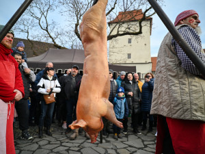 FOTOGALERIE: Masopustní veselí zasáhlo Slezskoostravský hrad. Zabíjačka i maškary