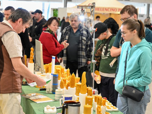 FOTOGALERIE: Invaze včelařů na Černé louce. Výjimečné ve střední Evropě
