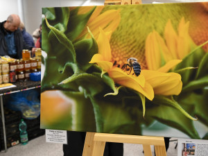 FOTOGALERIE: Invaze včelařů na Černé louce. Výjimečné ve střední Evropě