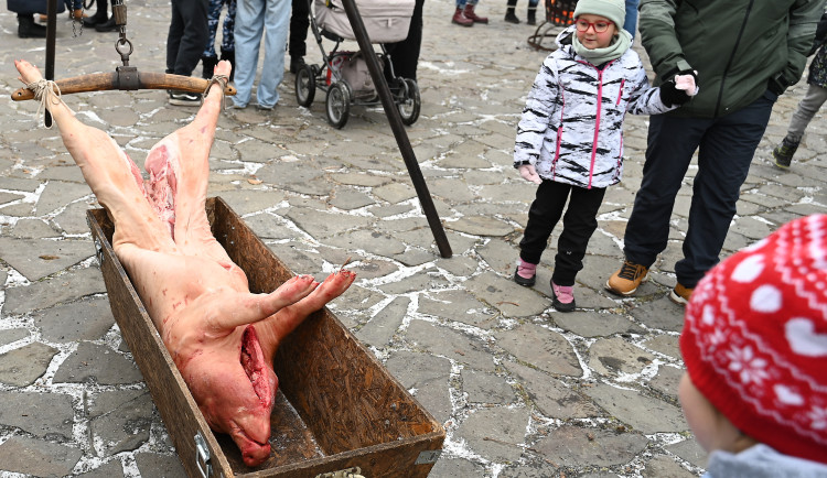 Masopust na hradě. Nechyběla ani nefalšovaná zabíjačka