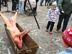 Masopust na hradě. Nechyběla ani nefalšovaná zabíjačka