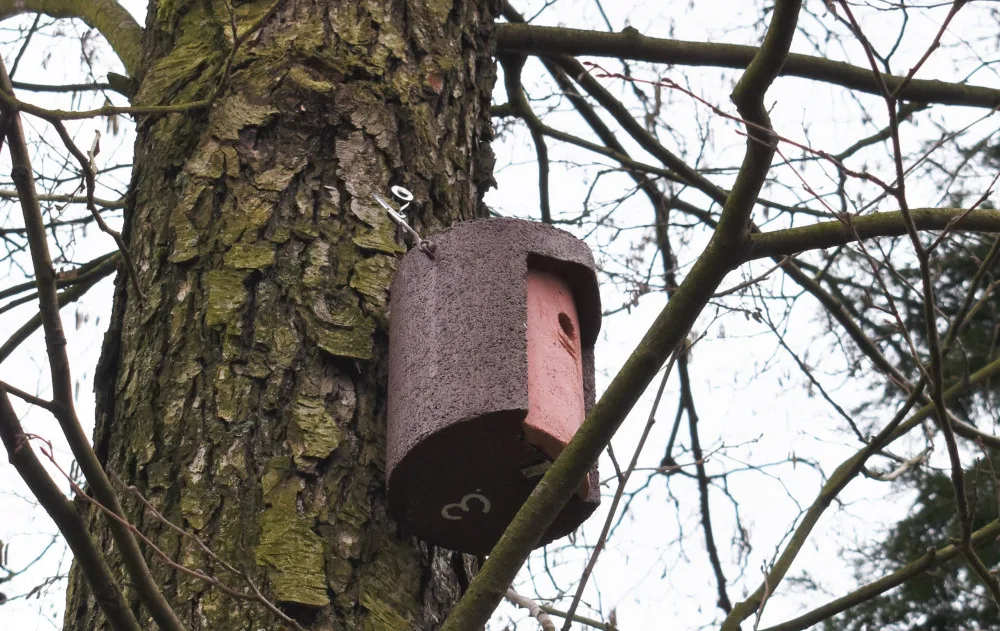 Frýdek-Místek instaluje v parcích budky, chce podpořit hnízdění.
