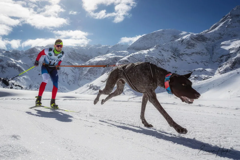 Lékař, sportovec a nastávající otec Alex Nosek bojuje s vážnou nemocí. Za dva dny mu lidé poslali miliony.