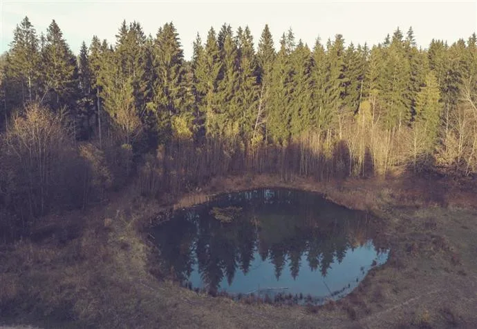 ilustrační foto.