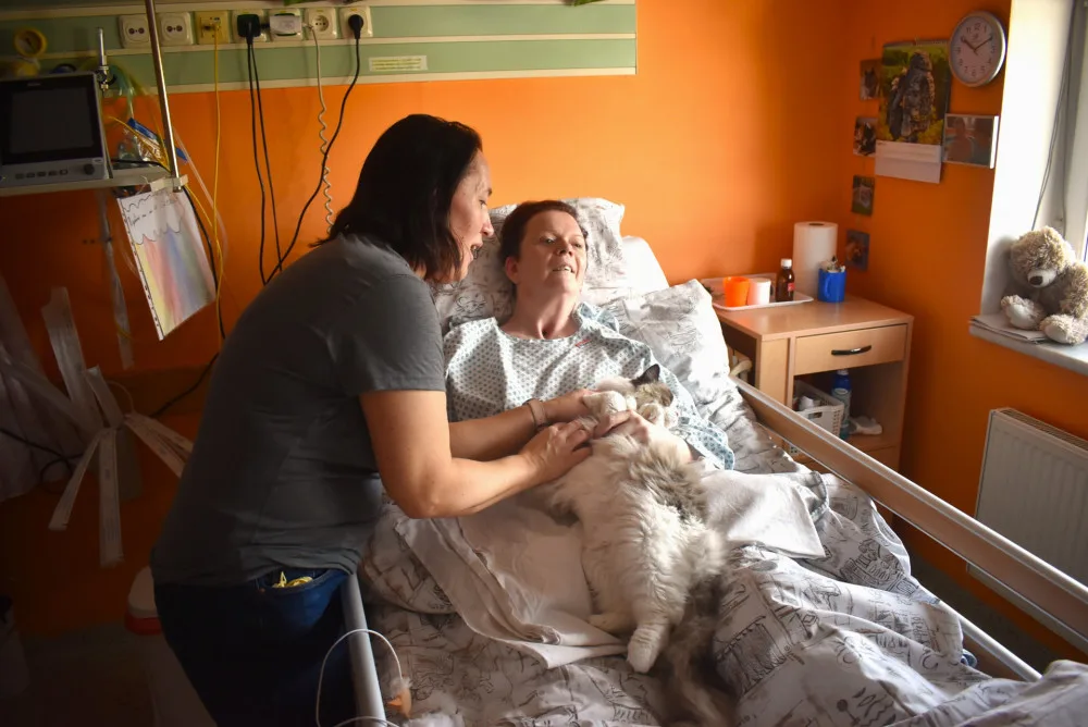 Krnovská nemocnice využívá terapii pomocí koček.