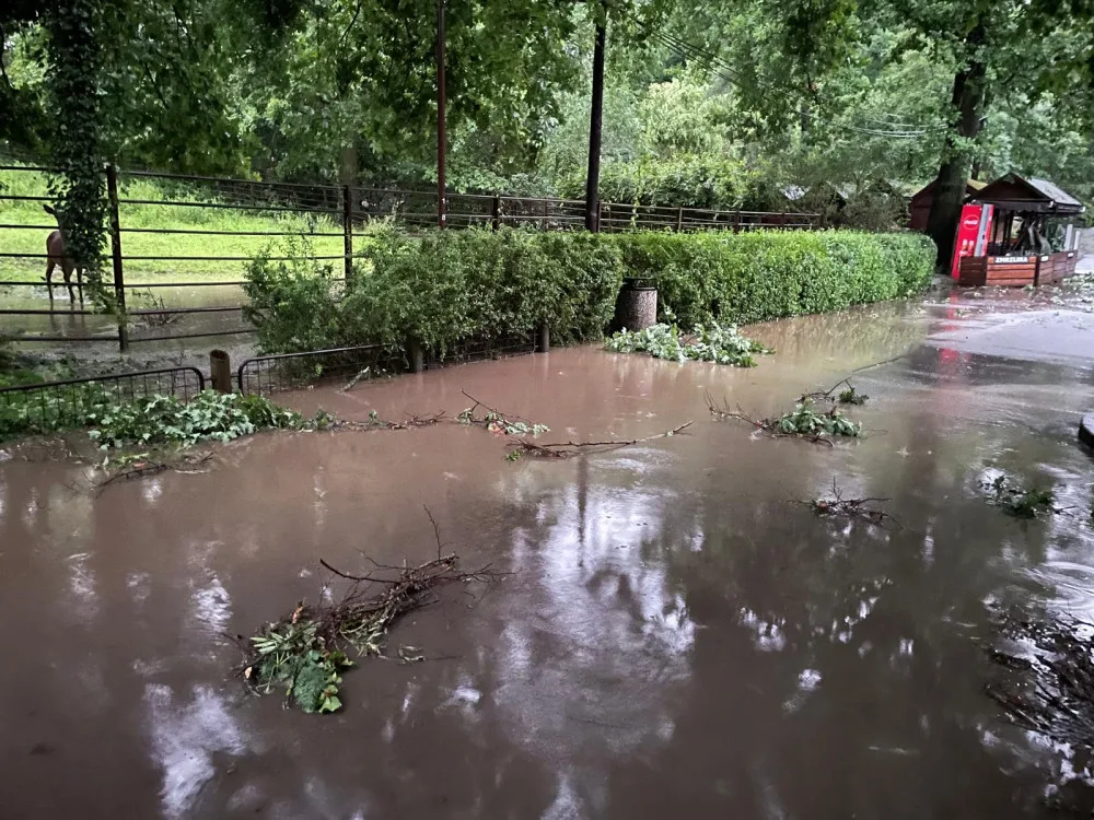Centrum Ostravy po bouři. Nevydržely ani statné stromy, zoo je uzavřena