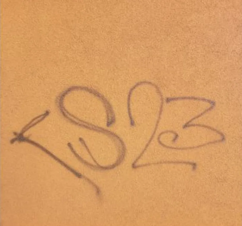 Vandal z Karviné během tří měsíců poničil devět budov. Fasády posprejoval a popsal nesmazatelnými fixy