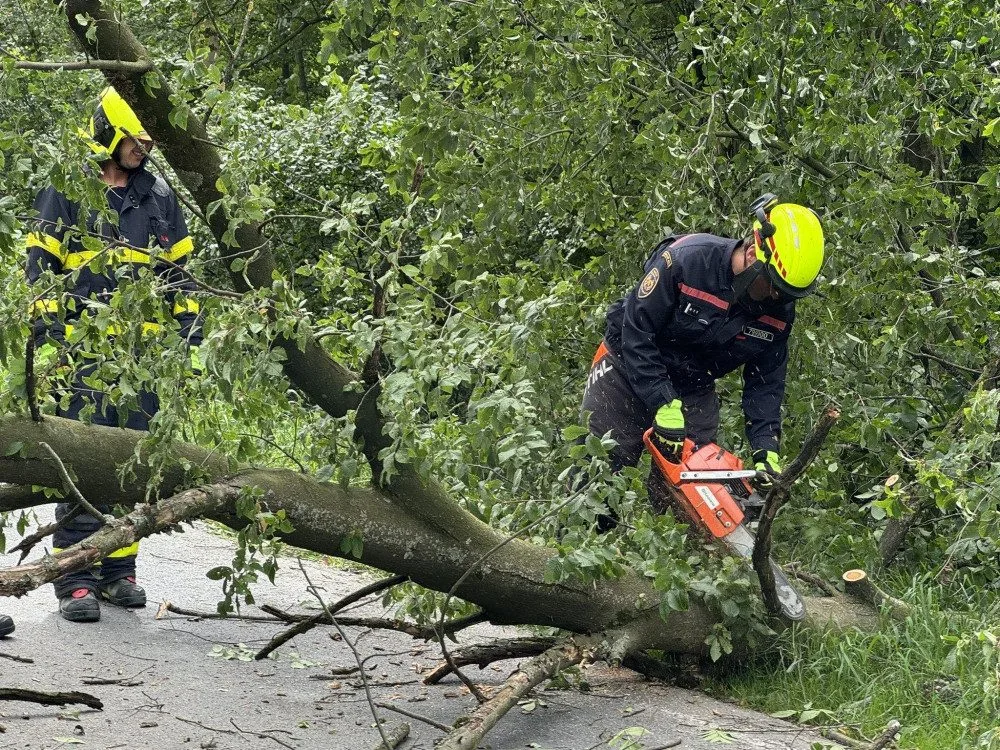 Vítr v Moravskoslezském kraji večer lámal stromy, poškodil několik střech