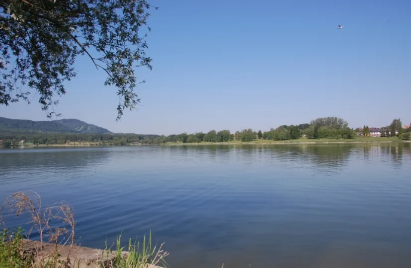 V některých moravskoslezských nádržích zůstávají ve vodě sinice. Nejhůř na tom jsou Olešná a Těrlicko