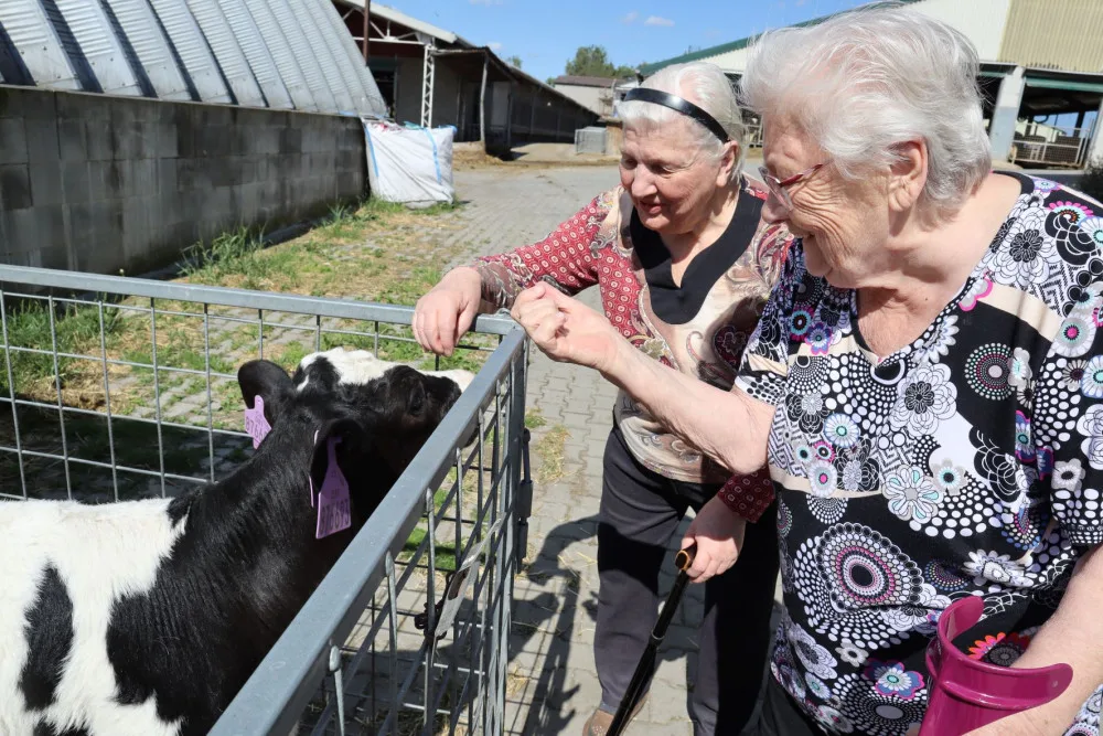 Terapie vzpomínkami. V Ostravě pomáhají seniorům prostřednictvím minulých zážitků