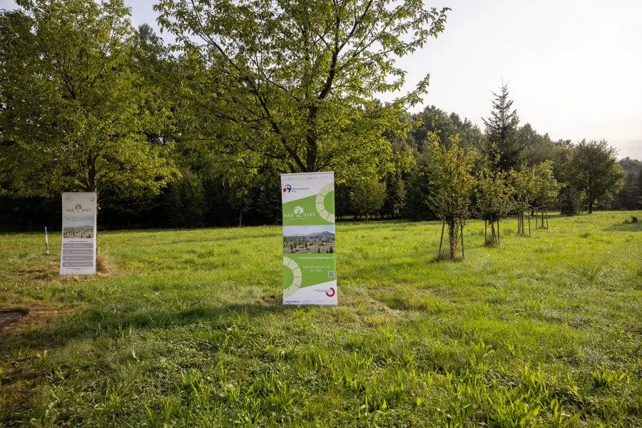 Moravskoslezský kraj vybuduje dva domky pro lidi s mentálním postižením.