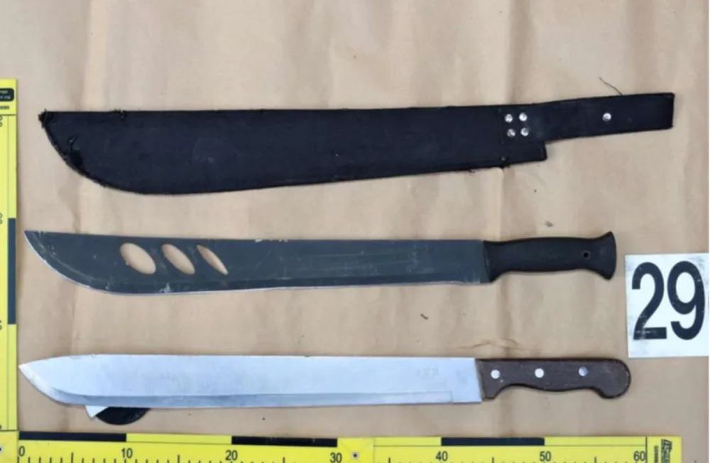 Dvojice cizinců ukradla dodávku přepravní společnosti. Policie oba muže dopadla za několik minut